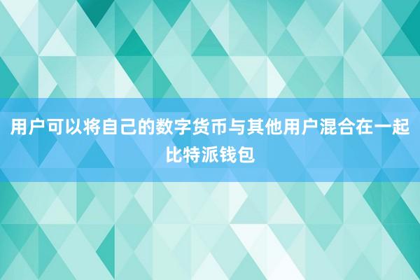 用户可以将自己的数字货币与其他用户混合在一起比特派钱包