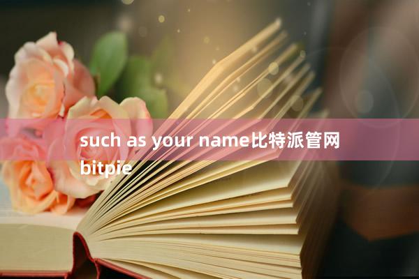 such as your name比特派管网
bitpie