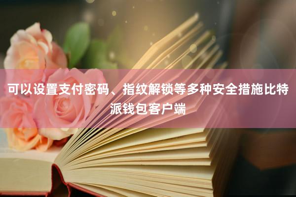 可以设置支付密码、指纹解锁等多种安全措施比特派钱包客户端