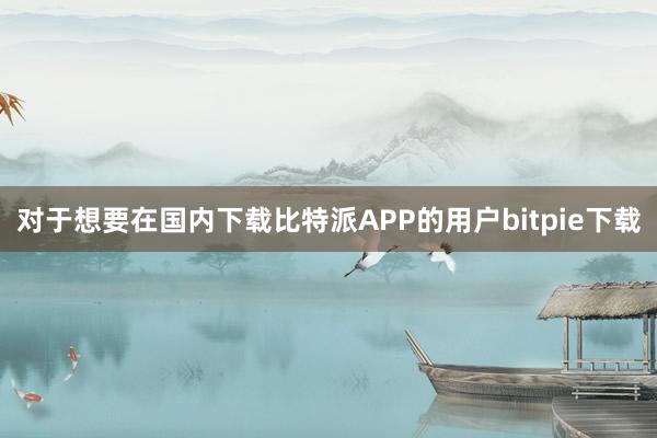 对于想要在国内下载比特派APP的用户bitpie下载