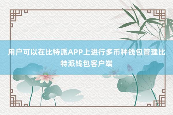 用户可以在比特派APP上进行多币种钱包管理比特派钱包客户端