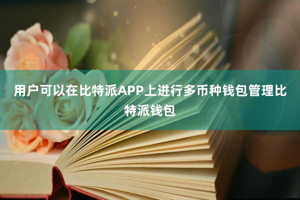 用户可以在比特派APP上进行多币种钱包管理比特派钱包