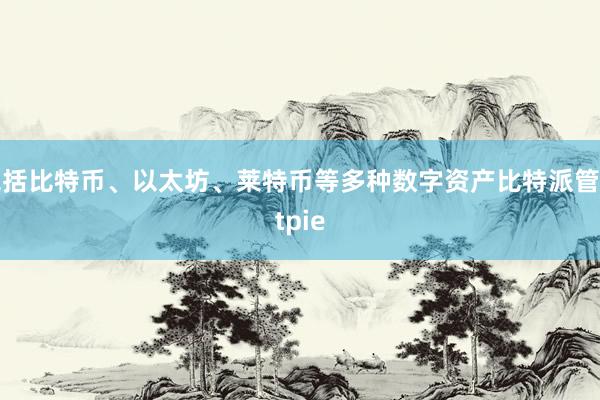 包括比特币、以太坊、莱特币等多种数字资产比特派管网
bitpie