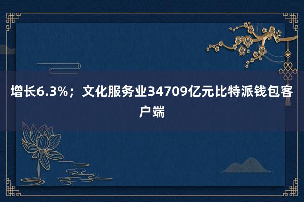 增长6.3%；文化服务业34709亿元比特派钱包客户端