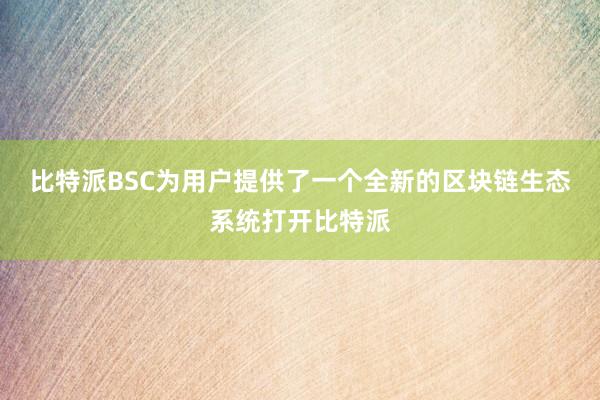 比特派BSC为用户提供了一个全新的区块链生态系统打开比特派