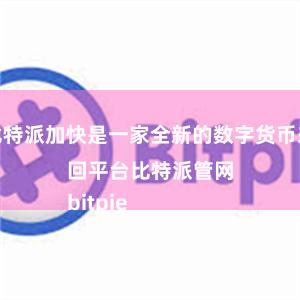 比特派加快是一家全新的数字货币来回平台比特派管网
bitpie