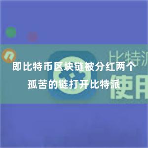 即比特币区块链被分红两个孤苦的链打开比特派