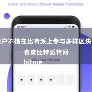 用户不错在比特派上参与多样区块链名堂比特派管网
bitpie